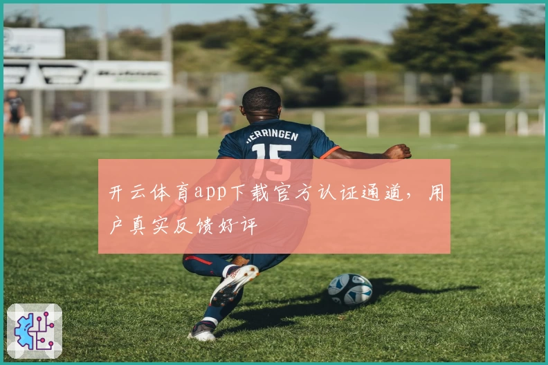 开云体育app下载官方认证通道，用户真实反馈好评