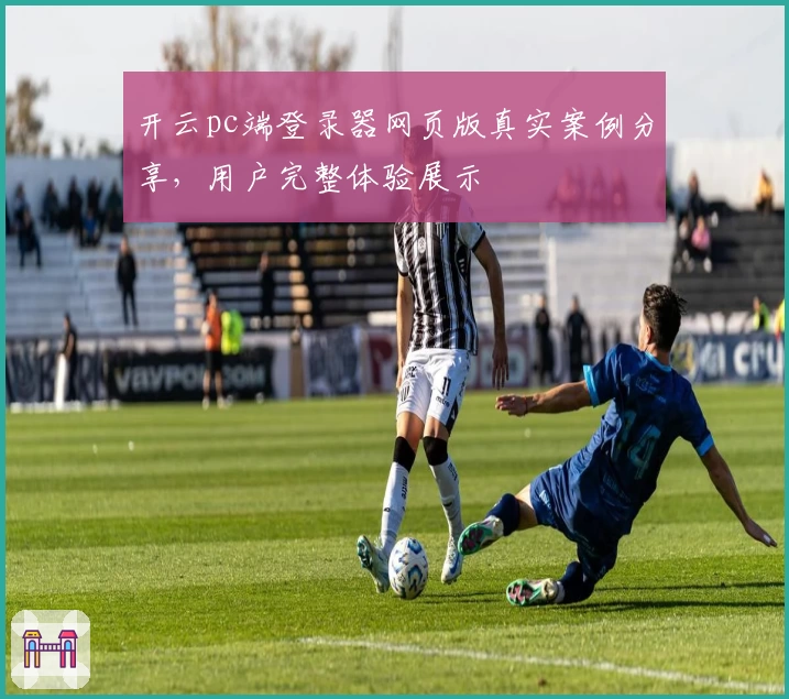 开云pc端登录器网页版真实案例分享，用户完整体验展示